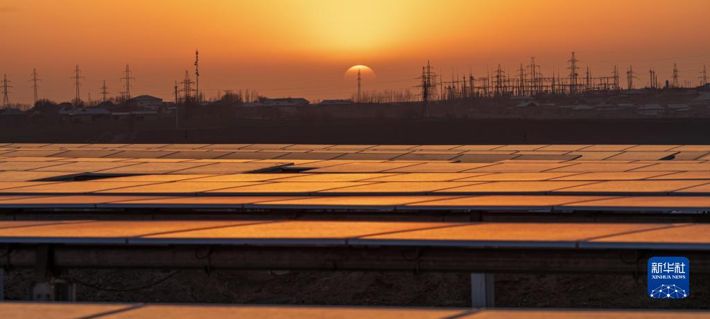 Promoting Green Energy Cooperation between China and Ukraine - Visiting the Samarkand Photovoltaic Project in Uzbekistan